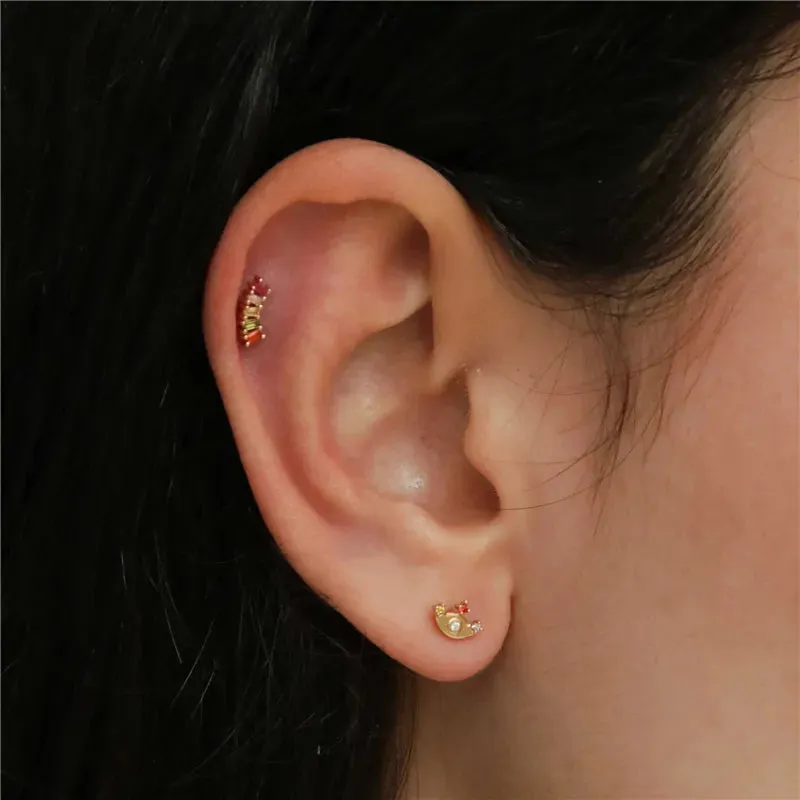Rainbow Barbell Piercing (18G)